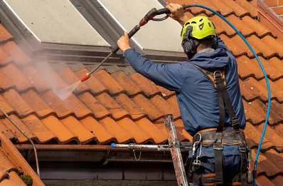 Démoussage et hydrofuge de toiture à Mariol